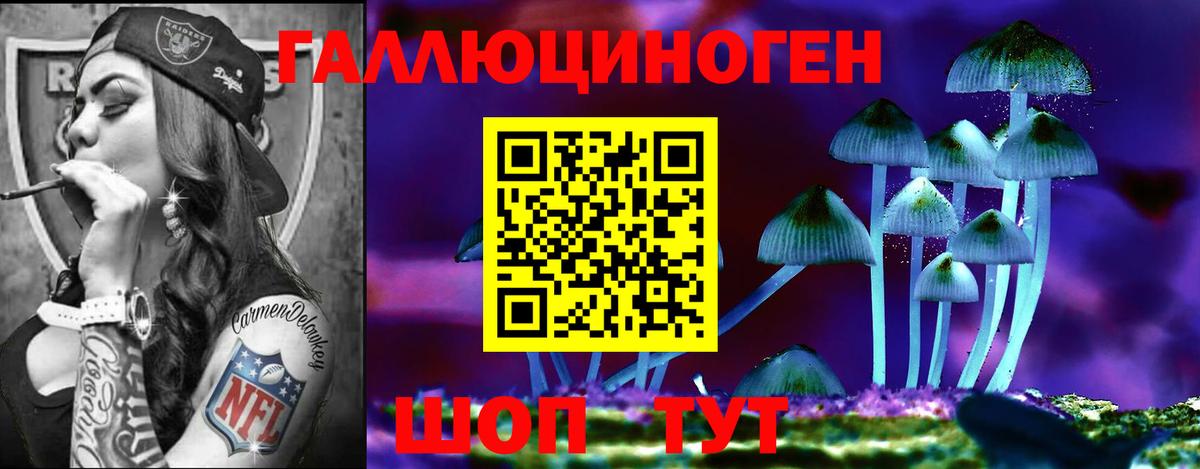 Псилоцибиновые грибы Cubensis  Галлюциногенные грибы мицелий  Донской  Вход с VPN 